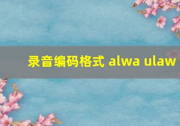 录音编码格式 alwa ulaw